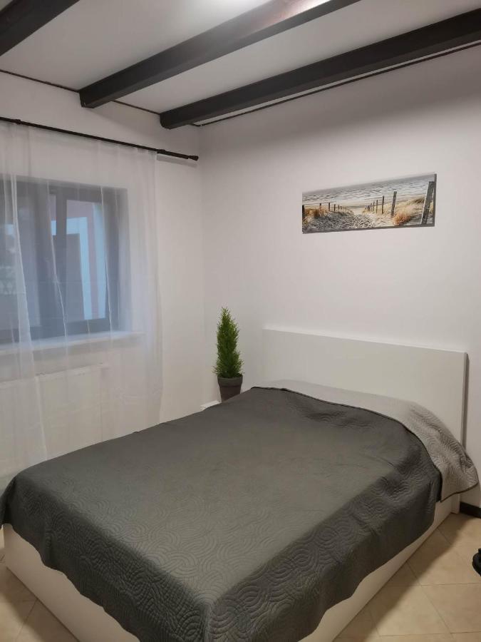 Urocze Studia W Lomiankach, 1- Z Sauna I Tarasem, 2- Z Kominkiem, 3- Ekonomiczne, 7Km Metro Mlociny Warszawa Ломянки Экстерьер фото