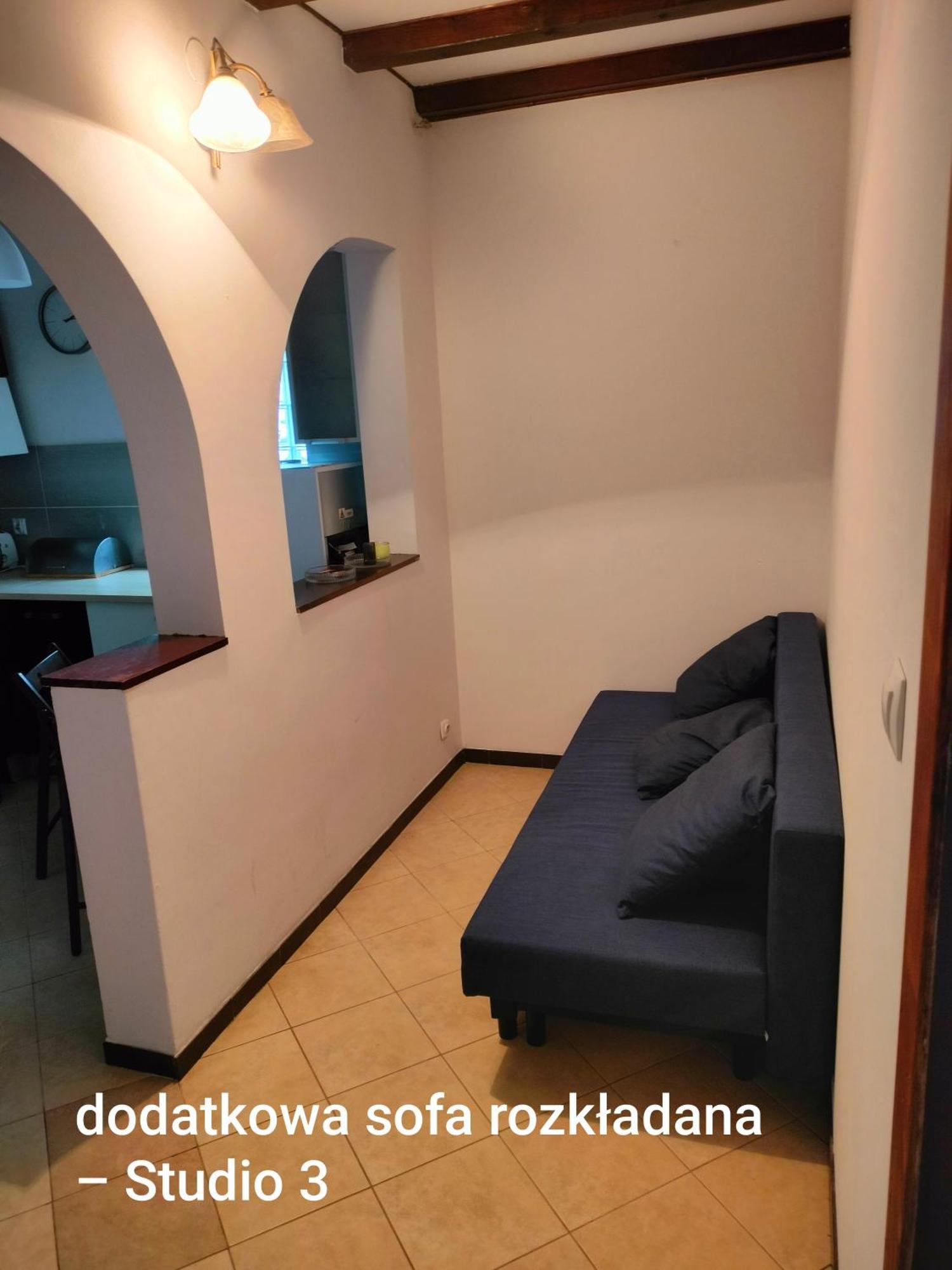 Urocze Studia W Lomiankach, 1- Z Sauna I Tarasem, 2- Z Kominkiem, 3- Ekonomiczne, 7Km Metro Mlociny Warszawa Ломянки Экстерьер фото