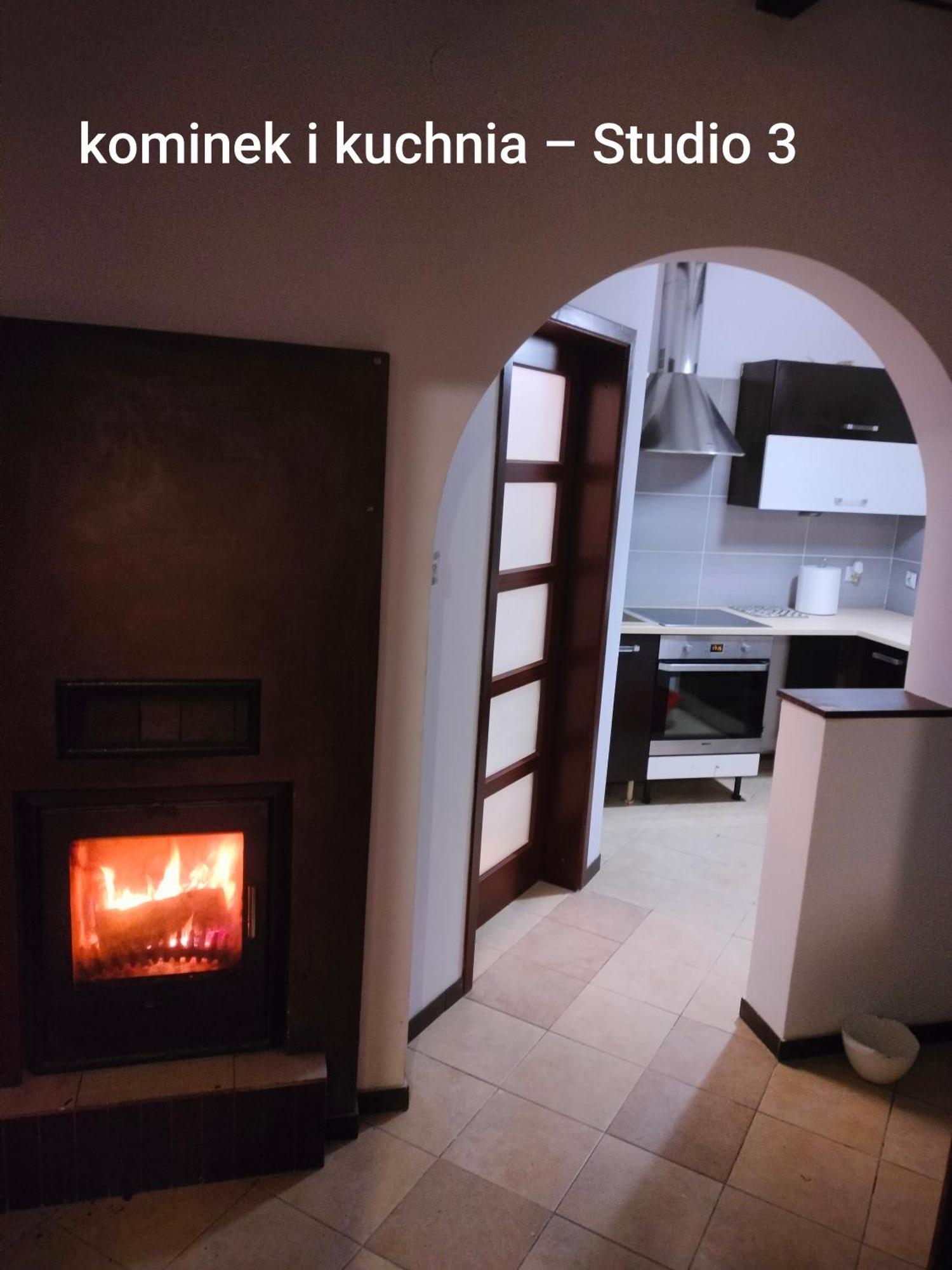 Urocze Studia W Lomiankach, 1- Z Sauna I Tarasem, 2- Z Kominkiem, 3- Ekonomiczne, 7Km Metro Mlociny Warszawa Ломянки Экстерьер фото